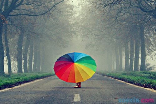 ��ѡ����ǩ��2015