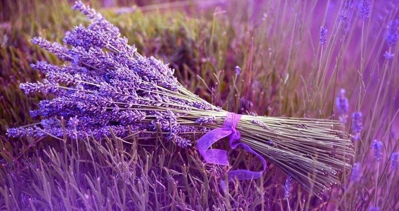 2016���������˸и�