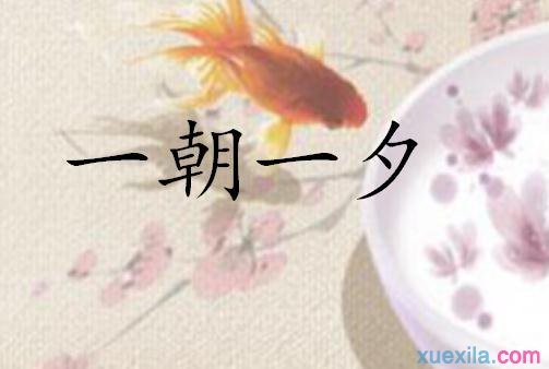 24Сʱ��һ�������ʲô