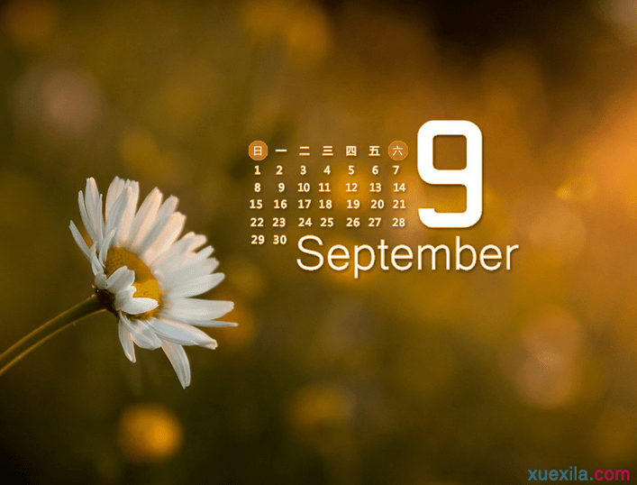 9�µ�Ӣ����ʲô