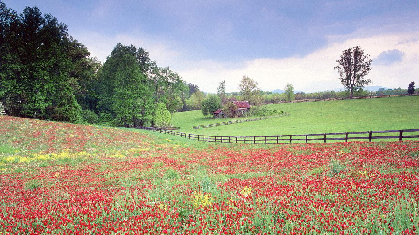 ��д��״��abb��ʽ��������