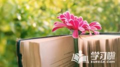 already���÷�_stillyet��already���÷�������˼