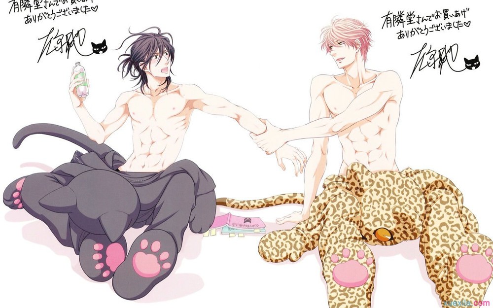 �ձ������������а�