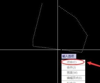 CAD������ζ�ͼ�ν��бպ�