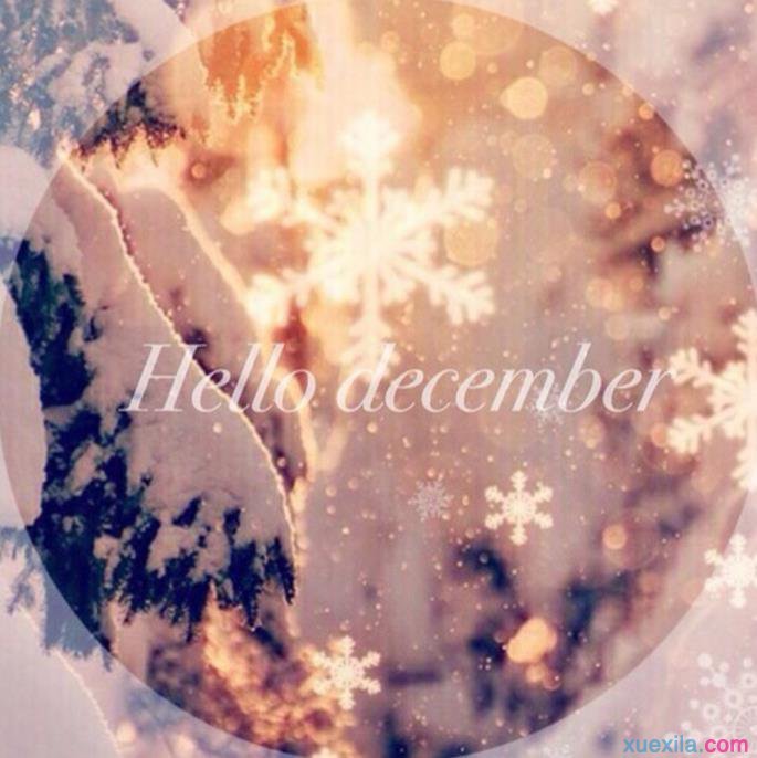 �߽�����Ӣ����ôд