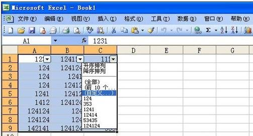 excel03���Զ�ɸѡ���ܵ�ʹ�÷���