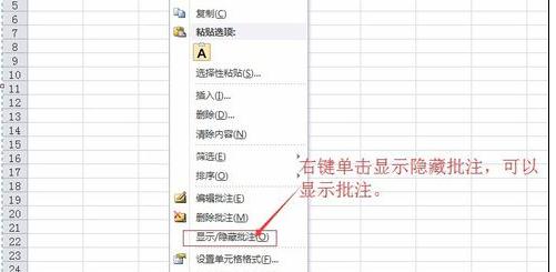 Excel��2010�����������ע�Ĳ�������