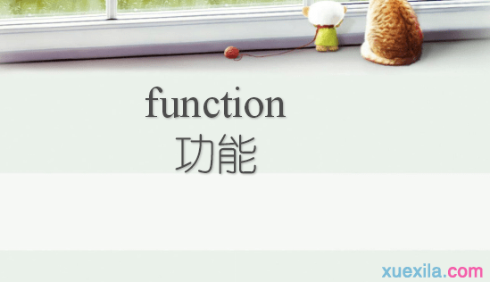 function��ʲô��˼