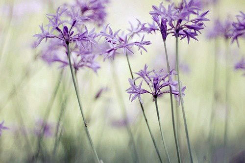 ktv�����ĸ������а�