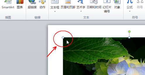 �ò����PPT��ͼƬ��������ķ�������