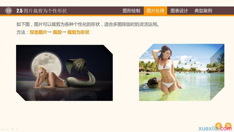 PPTͼ��PPTͼ����������