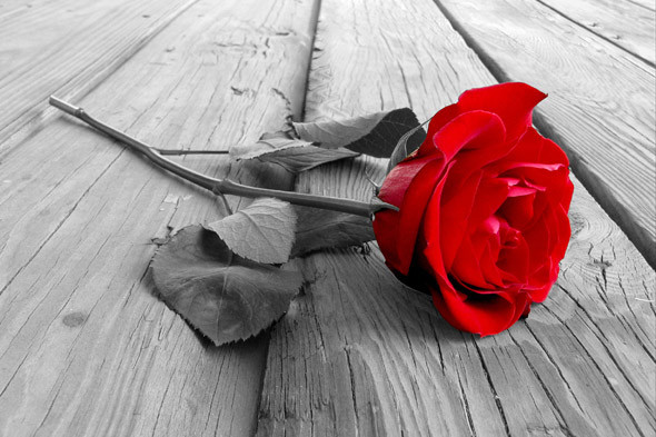 2017qq女生失恋个性签名